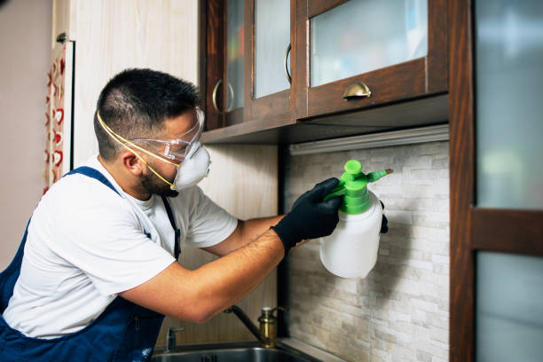Best Cockroach Control Services  in Heritage Lake, IN