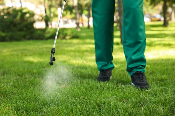 Best Ant Control Services  in Heritage Lake, IN