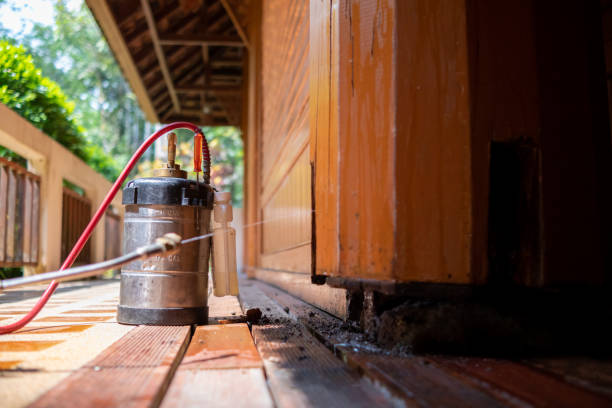 Best Wasp Removal Services  in Heritage Lake, IN