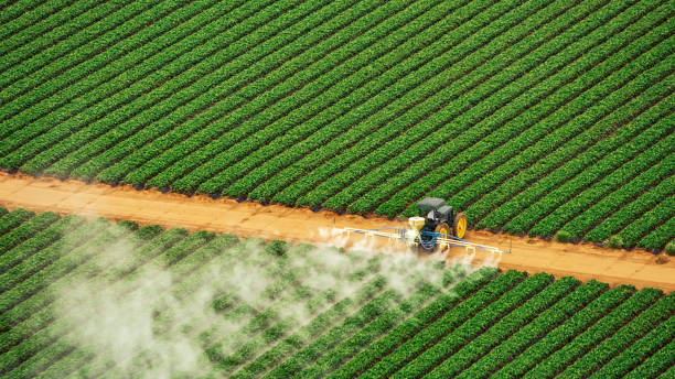 Best Commercial Pest Control Services  in Heritage Lake, IN