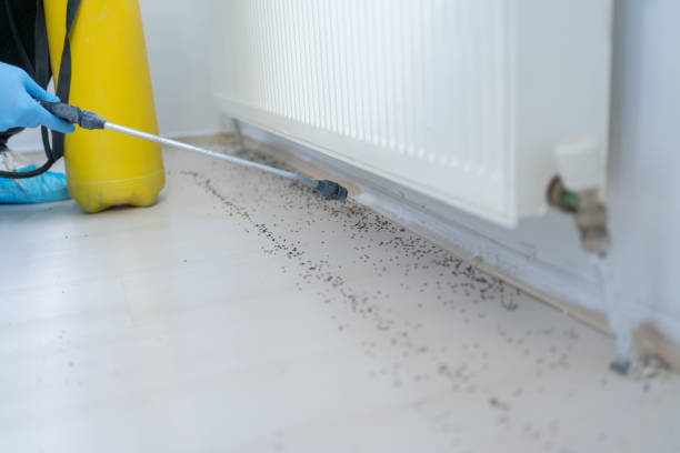 Best Pest Control Cost  in Heritage Lake, IN